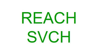 SVHC檢測REACH認(rèn)證機(jī)構(gòu)