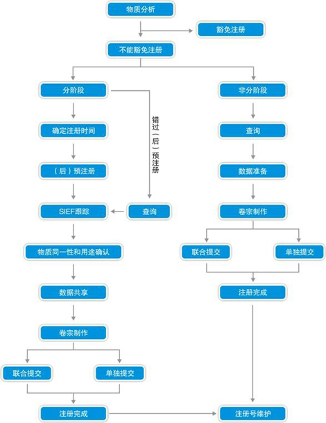 REACH注冊(cè)流程